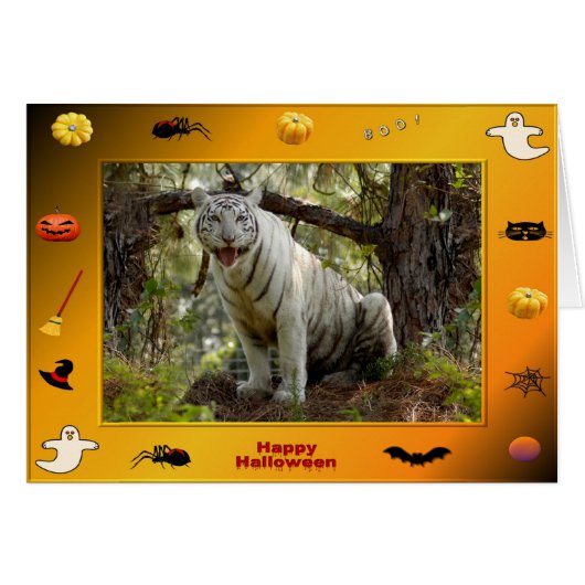 h-218-zabu cards (Front Horizontal)