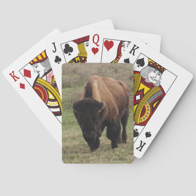 H.A.S. Arts Bison Playing Cards (Back)