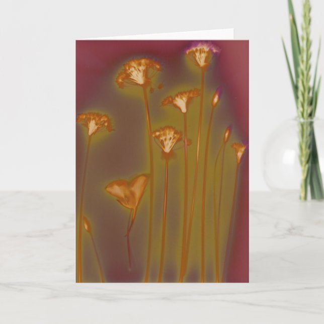 H.A.S. Arts greeting card, image Lough detail Card (Front)