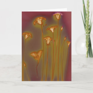 H.A.S. Arts greeting card, image Lough detail Card