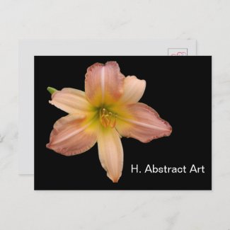 H. 'ABSTRACT ART' DAYLILY POSTCARD