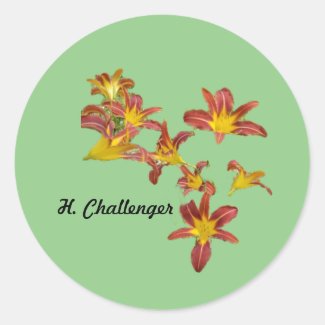 H. Challenger Daylily - Sticker