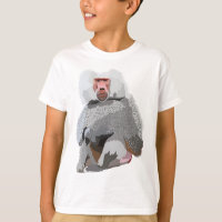 H is for Hamadryas Baboon