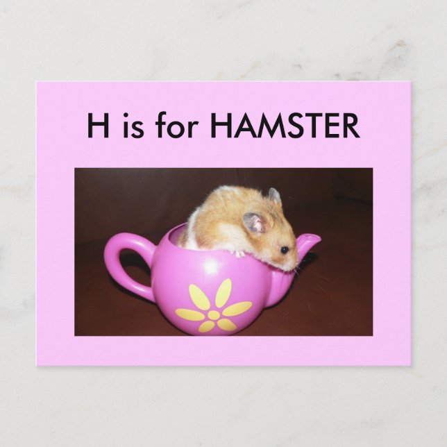 "H" is for Hamster Alphabet Flashcard Postcard (Front)