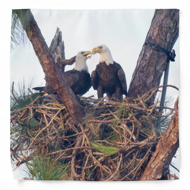 H & M Bandana (Front)