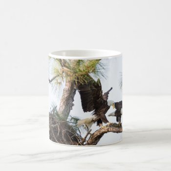 H & M Coffee Mug by SWFLEagleCam at Zazzle