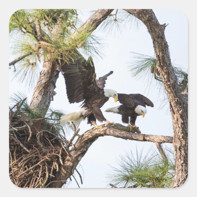 H & M Stickers (Front)