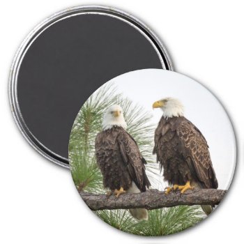 H&o Circle Magnet (various Sizes Available) by SWFLEagleCam at Zazzle