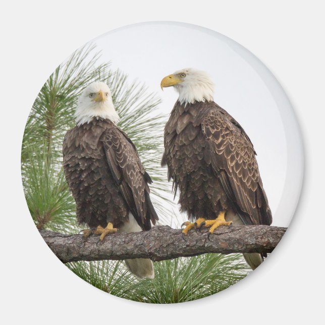 H&O Circle Magnet (Various Sizes Available) (Front)