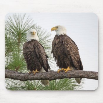 H&o Computer Mouse Pad by SWFLEagleCam at Zazzle