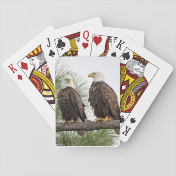 H&o Playing Cards by SWFLEagleCam at Zazzle