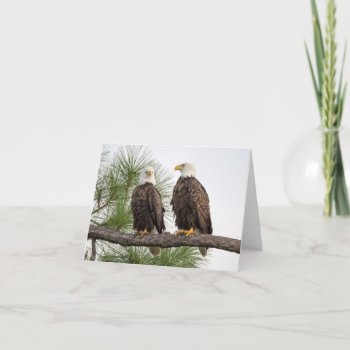 H&o Stationary Note Card by SWFLEagleCam at Zazzle