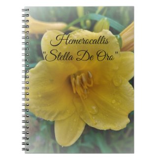 H. STELLA DE ORO  - Spiral Photo Notebook