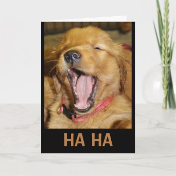Ha Ha You're Older Than Me Laughing Puppy Card by MortOriginals at Zazzle