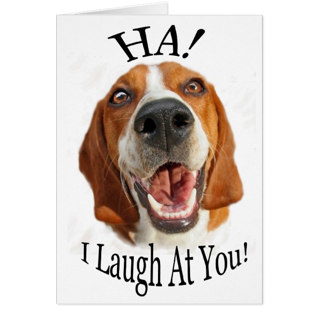 HA! I Laugh At You Cards (Front)