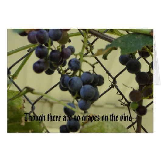 Habakkuk 3;17,18, Grapes Cards (Front Horizontal)