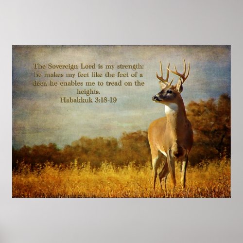 Habakkuk 318 Inspirational Poster