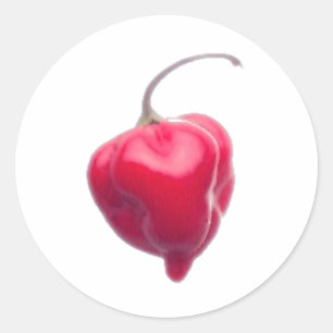 habanero classic round sticker