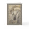 Habano the Andalusian horse card