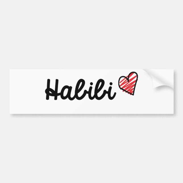 Habib2i Bumper Sticker (Front)