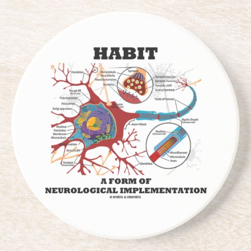 Habit A Form Of Neurological Implementation Neuron Coaster