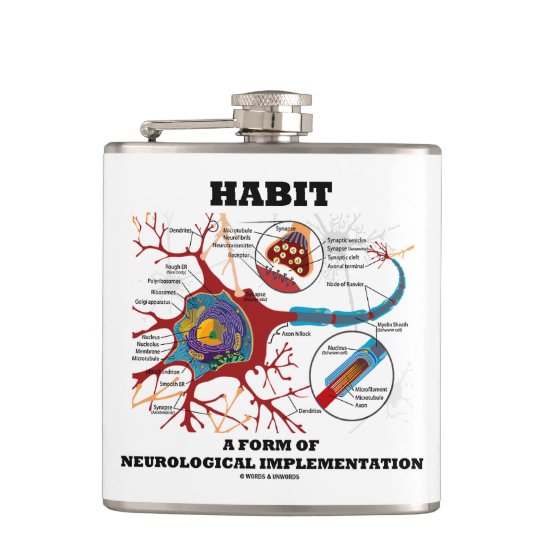 Habit A Form Of Neurological Implementation Neuron Flask