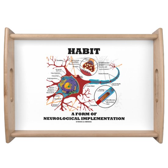 Habit A Form Of Neurological Implementation Neuron Serving Tray