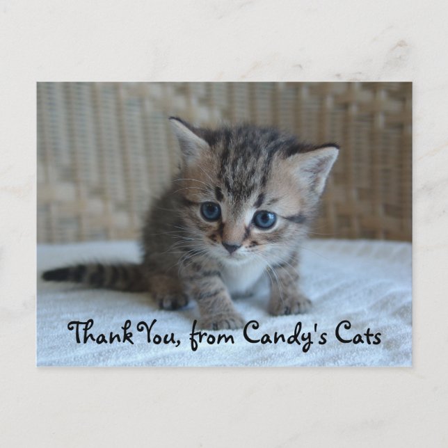 Habu Thank You Postcards (Front)