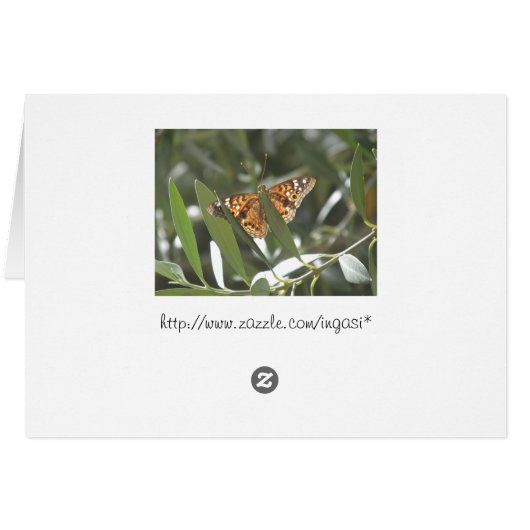 Hackberry Emperor Butterfly (Back Horizontal)