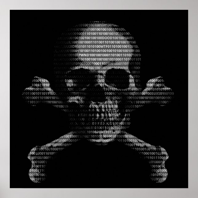 Hacker Skull and Crossbones Poster (Front)