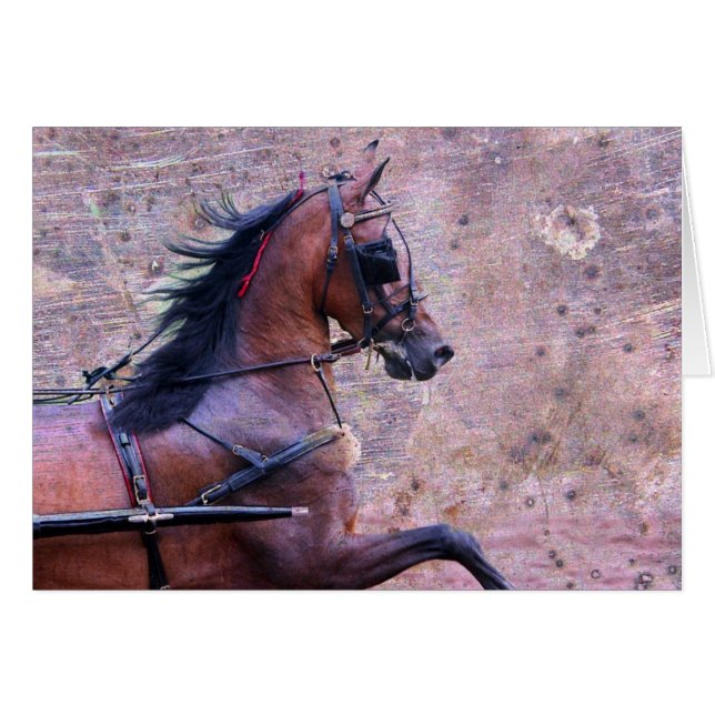 Hackney Grunge (Front Horizontal)