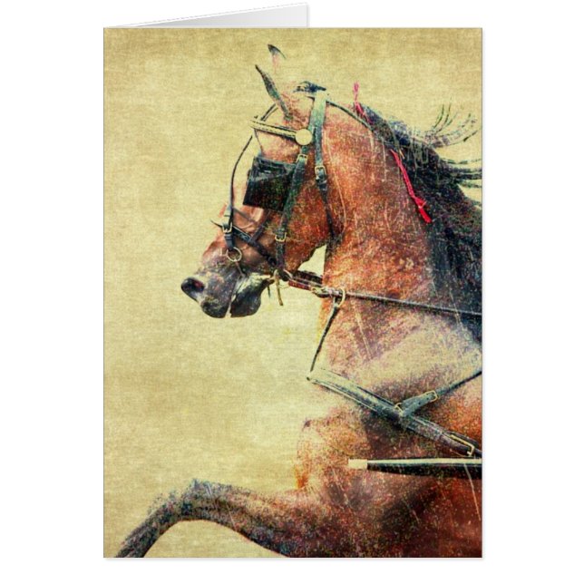 Hackney Pony Cards (Front)