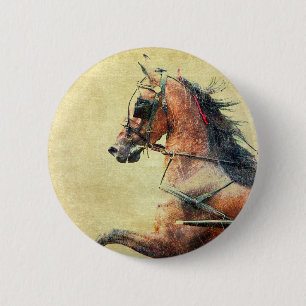 Hackney Pony Pinback Button