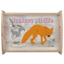 Hackney wildlife tray