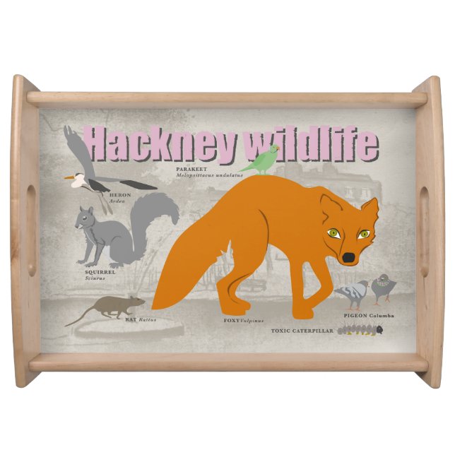 Hackney wildlife tray (Front)