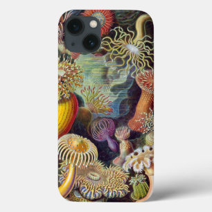Haeckel Actiniae Vintage Print iPhone 13 Case