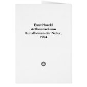 Haeckel_Anthomedusae (Back)