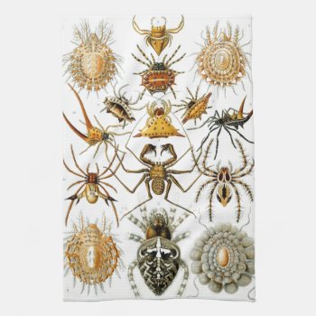 Haeckel Arachnida Towel by haeckel_inspired at Zazzle