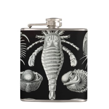 Haeckel Aspidonia Hip Flask by haeckel_inspired at Zazzle
