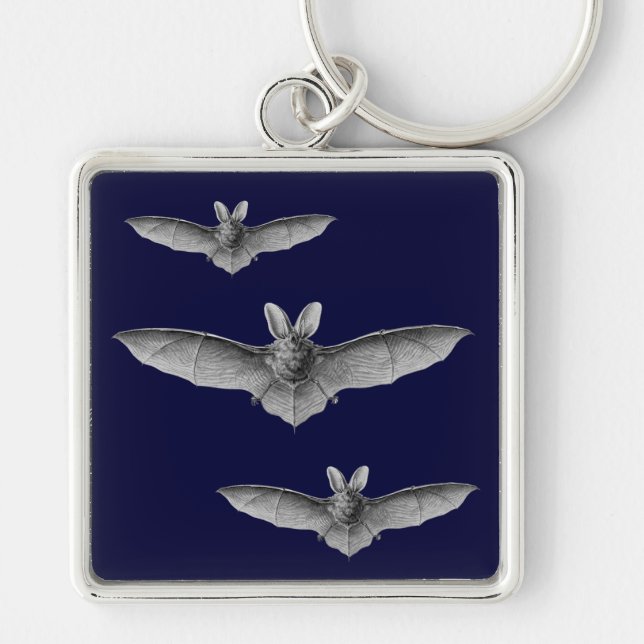 Haeckel Bat Keychain (Front)