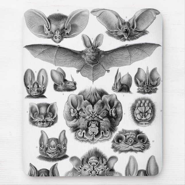 Haeckel Bats Mouse Pad (Front)