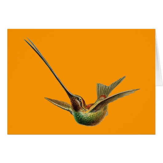 Haeckel Bird Cards (Front Horizontal)