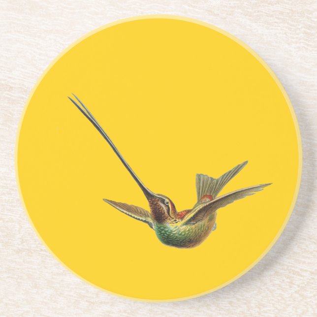 Haeckel Bird Drink Coaster (Front)