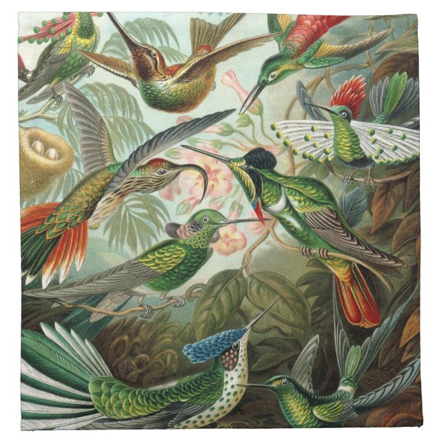 Haeckel Birds Cloth Napkin (Front)