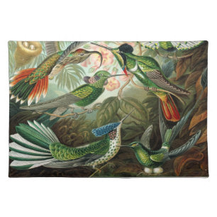 Haeckel Birds Cloth Placemat
