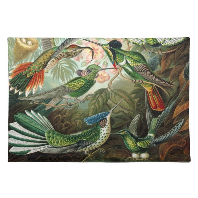 Haeckel Birds Cloth Placemat (Front)