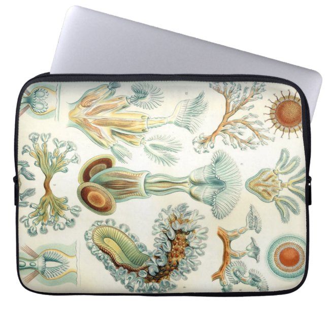 Haeckel Bryozoa Laptop Sleeve (Front)
