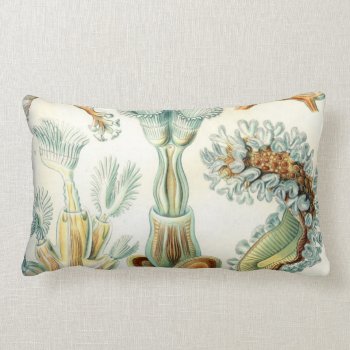 Haeckel Bryozoa Lumbar Pillow by haeckel_inspired at Zazzle