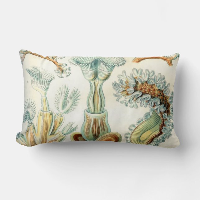 Haeckel Bryozoa Lumbar Pillow (Front)