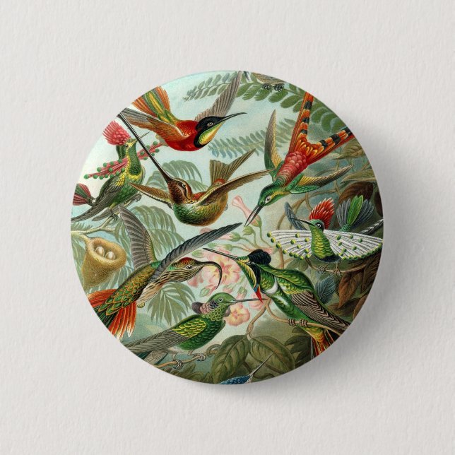 Haeckel Button (Front)